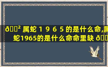 🌲 属蛇１９６５的是什么命,属蛇1965的是什么命命里缺 🐵 什么属性